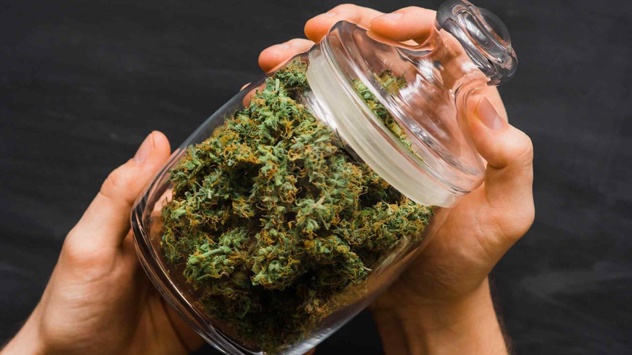 U.S. Recreational Cannabis Sales Data