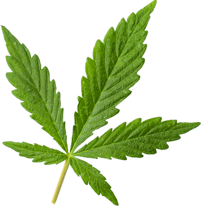 https://cannabooks.net/wp-content/uploads/2018/12/marijuana_leaf_large.png
